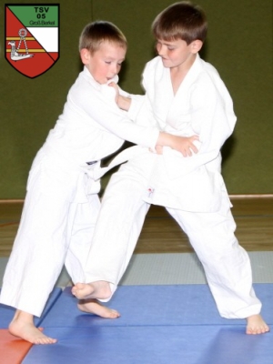 Judo Prüfung 2013_3