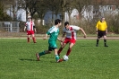 TC Hameln 3 - 6 TSV Groß Berkel_22