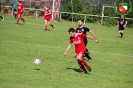 TSV 05 Groß Berkel 4 - 2 SG Hameln 74_72