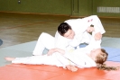 Judo Prüfung 2013_2